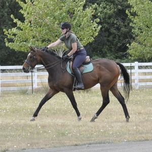Meet your Posher, Ginger-kathleen